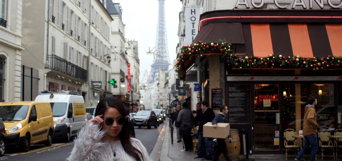 Paris Travel Diary Christmas